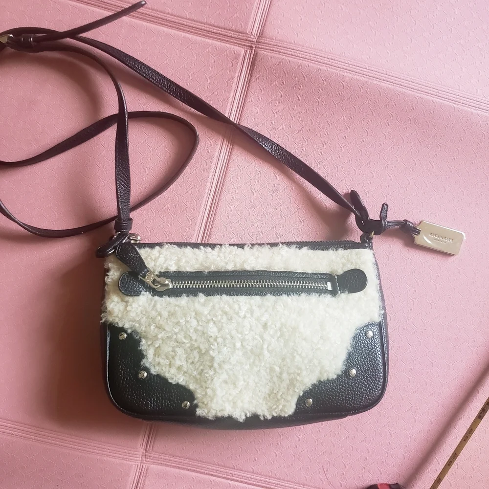 Coach Small Rhyder Pochette Shearling Crossbody Bag Wool Pebbled Leather - Picture 1 of 12